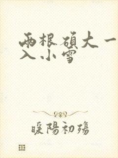 两根硕大一起挤入小雪