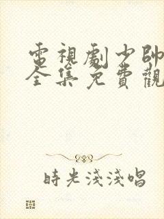 电视剧少帅48全集免费观看在线云