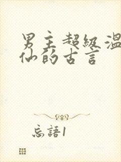 男主超级温柔谪仙的古言