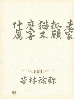 什么猫抓老鼠最厉害又顾家