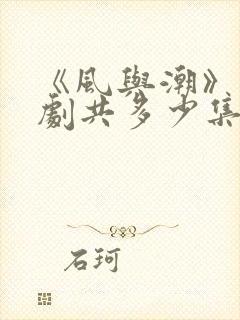 《风与潮》电视剧共多少集