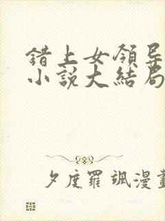 错上女领导官场小说大结局