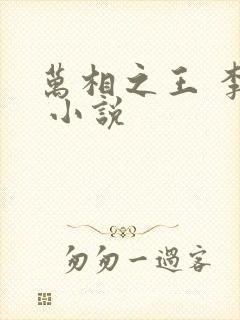 万相之王 李洛 小说封面