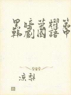 黑暗荣耀第二季韩剧国语中文版