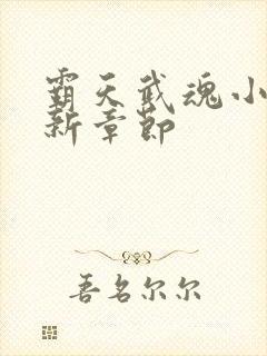 霸天武魂小说最新章节封面