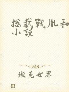 总裁战胤和海彤小说封面