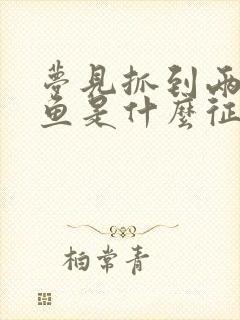 梦见抓到两条大鱼是什么征兆