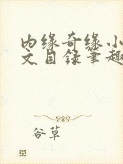 内缘奇缘小说全文目录笔趣阁
