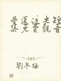 爱匿流光短剧全集免费观看