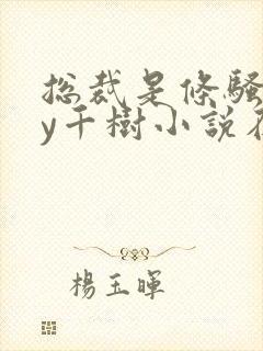 总裁是条骚狗by千树小说在线阅读最新