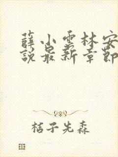 薛小云林安筠小说最新章节免费阅读