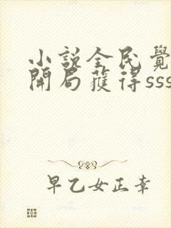 小说全民觉醒:开局获得sss级天赋txt