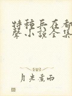 特种兵在都市有声小说全集封面