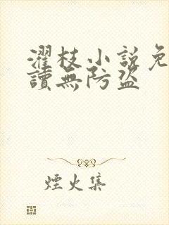 濯枝小说免费阅读无防盗封面