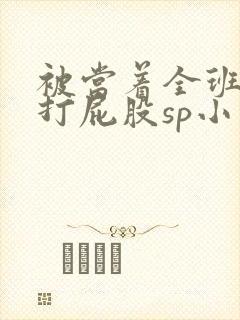 被当着全班羞耻打屁股sp小说封面