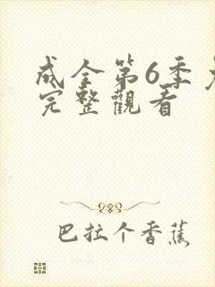 成全第6季免费完整观看