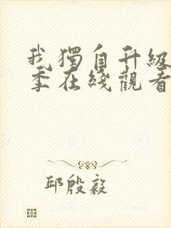 我独自升级第3季在线观看封面