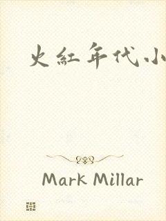 火红年代小说