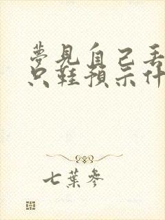 梦见自己丢了一只鞋预示什么封面