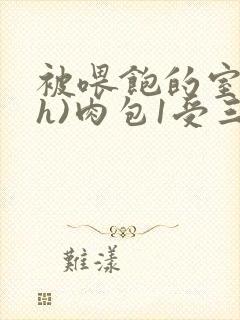 被喂饱的室友(h)肉包1受三攻