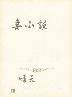 妻小说封面