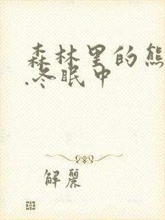 森林里的熊先生.冬眠中封面