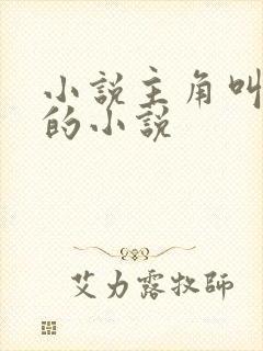 小说主角叫叶天的小说