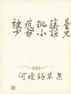 被疯批藤养的小少爷小说免费阅读