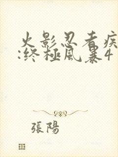 火影忍者疾风传:终极风暴4