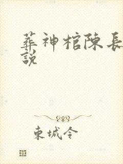 葬神棺陈长安小说