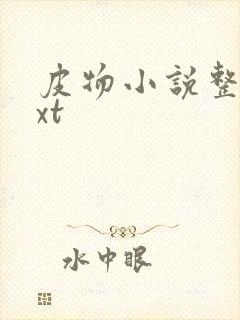 皮物小说整合txt