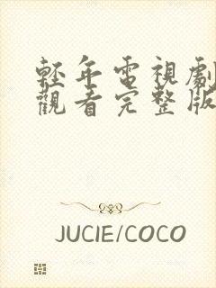 轻年电视剧免费观看完整版高清封面