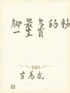 脚最多的动物猜一生肖