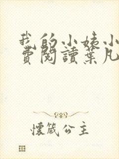 我的小姨小说免费阅读叶凡