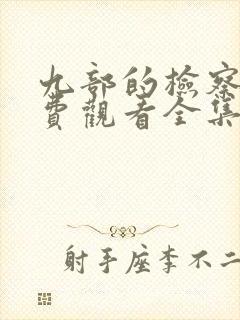 九部的检察官免费观看全集封面