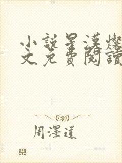 小说星汉灿烂全文免费阅读