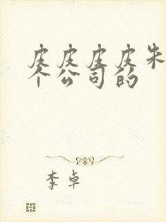 皮皮皮皮朱是哪个公司的