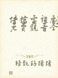 借枪电视剧高清免费观看全集