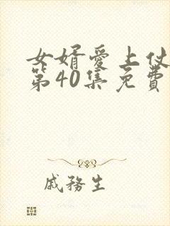 女婿爱上仗母娘第40集免费播放