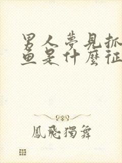 男人梦见抓到大鱼是什么征兆