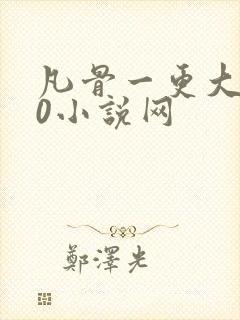 凡骨一更大师00小说网