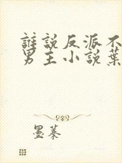 谁说反派不能当男主小说叶玄