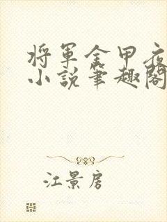 将军金甲夜不脱小说笔趣阁