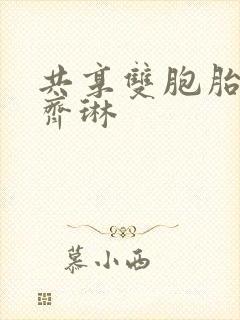 共享双胞胎齐娜齐琳封面