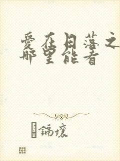 爱在日落之前在哪里能看