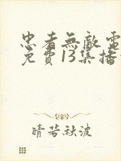 忠者无敌电视剧免费13集播放下载