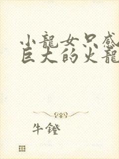 小龙女只感觉那巨大的火龙枪封面