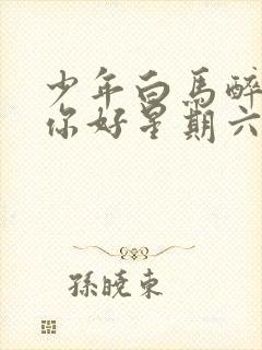 少年白马醉春风你好星期六哪一期