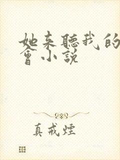 她来听我的演唱会小说