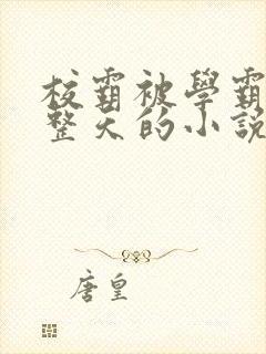 校霸被学霸罚一整天的小说笔趣阁封面